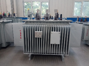 S11-M-800/10/0.4全密封油浸式电力变压器