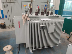 S11-M-800kVA/10kV/0.4kV