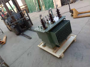 S-100kVA/20kV-0.4kV出口变压器