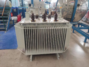 S22-M-1000kVA/10±2*2.5%/0.4